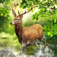 高雅备至《剑侠国际3》全新坐骑绝美上线