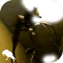 “叮，祝贺宿主交融超级芯片道衍，而且和您魂灵绑定，每秒